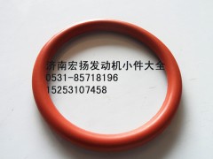 VG1246040019,重汽D12噴油器銅套密封圈,濟(jì)南耀順汽車配件有限公司（重汽、濰柴發(fā)動(dòng)機(jī)小件專賣）