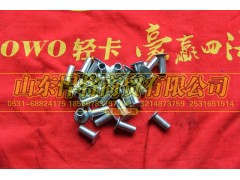 102013010-08,HOWO豪沃輕卡鉚釘,山東悍將商貿(mào)有限公司