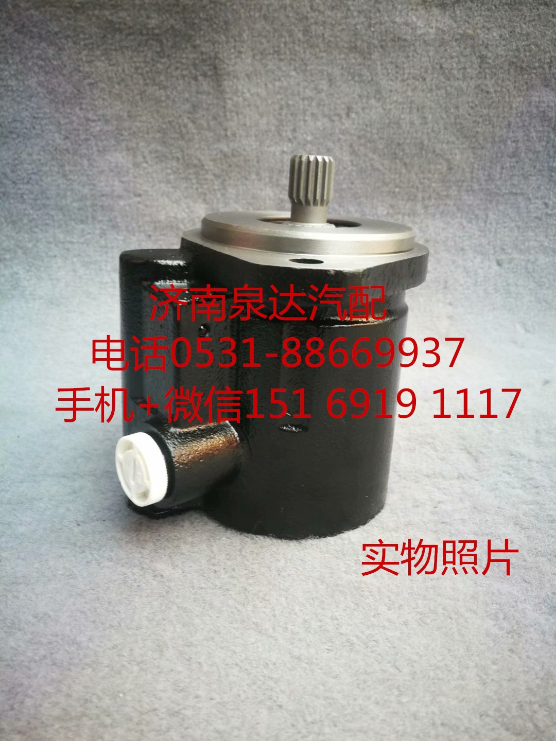 1001415691,轉向助力泵,濟南泉達汽配有限公司