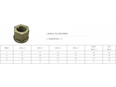 ,加厚螺母,上海振高汽車科技有限公司