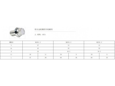 ,輪轂螺母,上海振高汽車科技有限公司