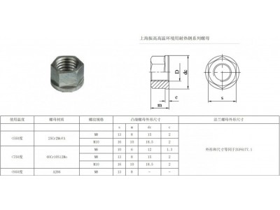 ,耐高溫螺母,上海振高汽車科技有限公司