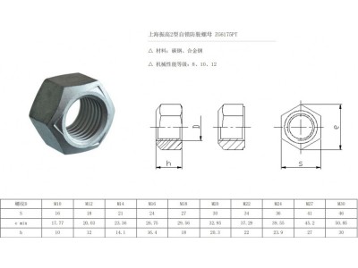 ,自鎖螺母,上海振高汽車科技有限公司