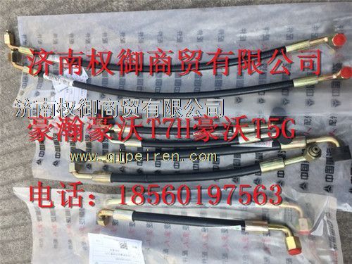 WG9719820265/6,重汽新斯太爾左右儀表面罩組件WG1682167010WG1682168175,濟(jì)南權(quán)御進(jìn)出口有限公司